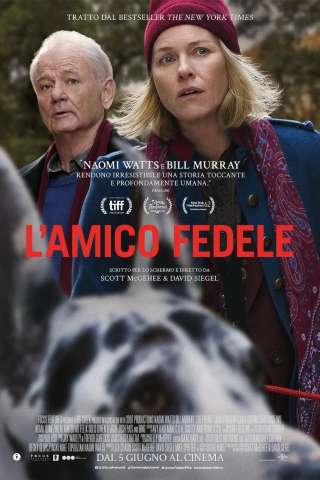 L'amico fedele streaming